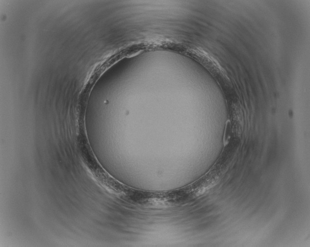 X0000069390496200606021635