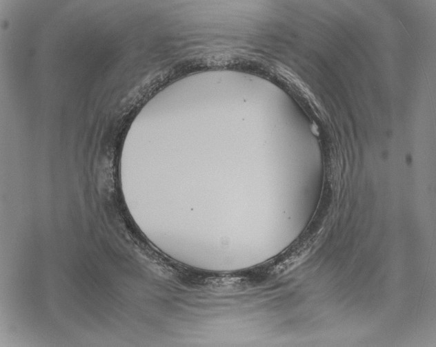 X0000069390497200606021635