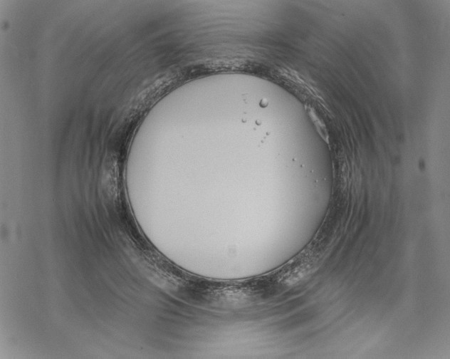 X0000069390498200606021635