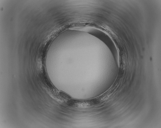 X0000069390500200606021635