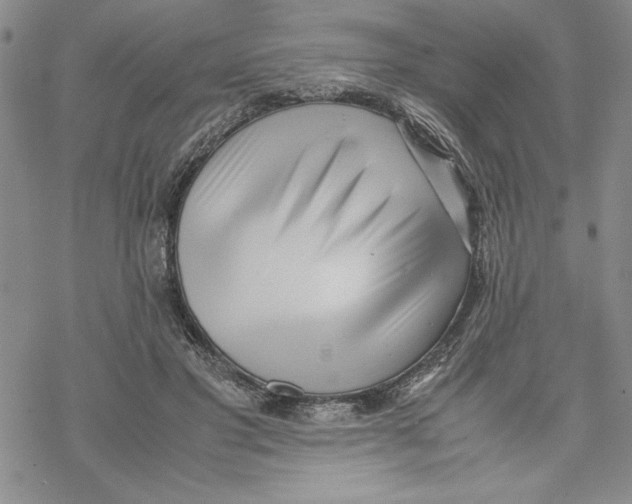 X0000069390501200606021635