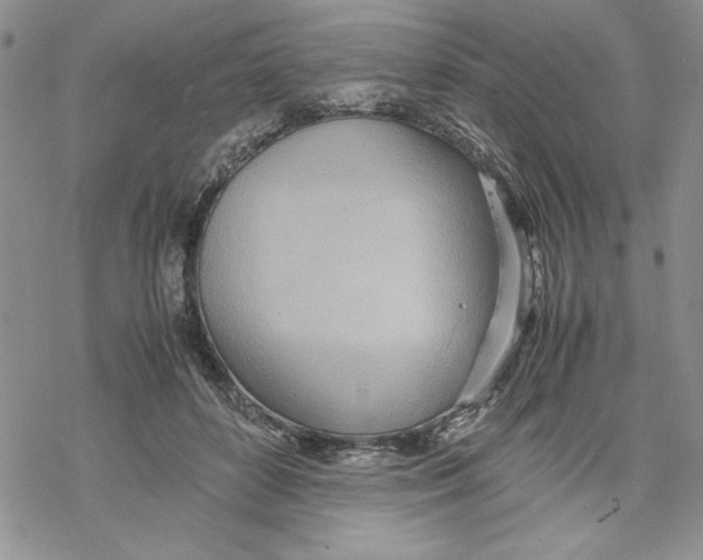 X0000069390504200606021635