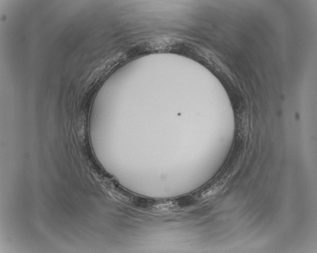 X0000069390505200606021635