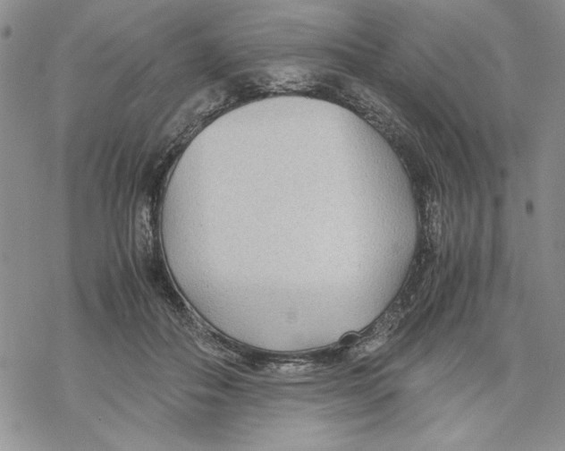 X0000069390506200606021635