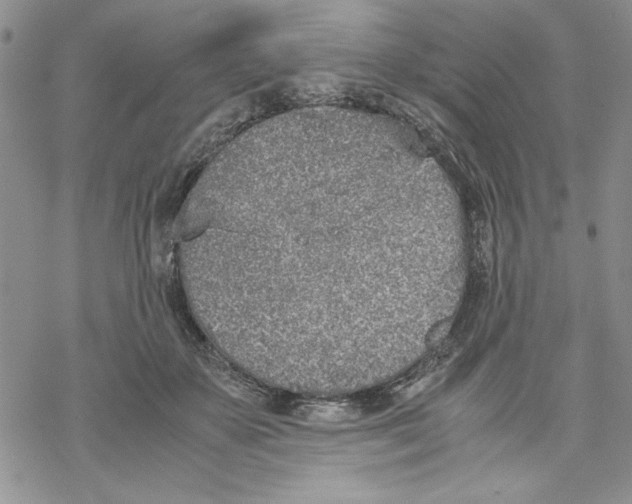 X0000069390507200606021635