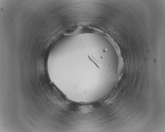 X0000069390508200606021635