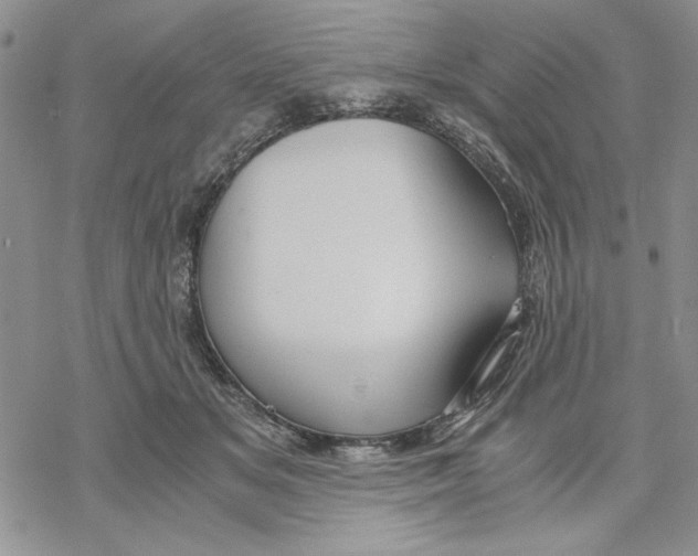 X0000069390509200606021635