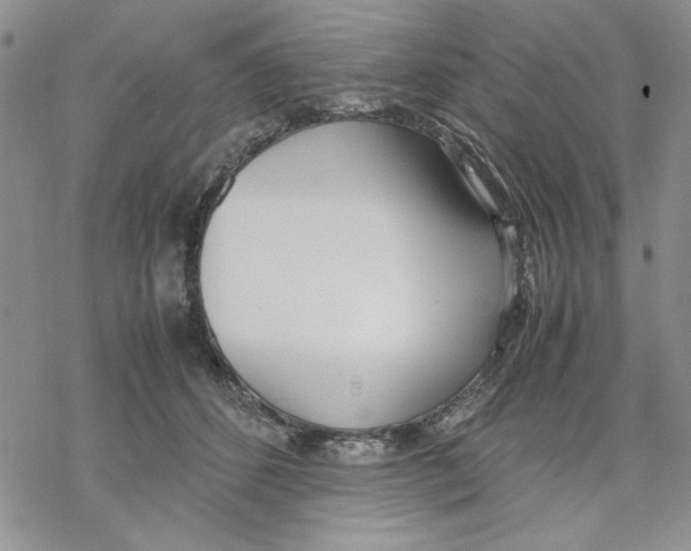 X0000069390512200606021635