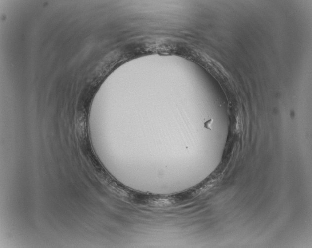 X0000069390513200606021635