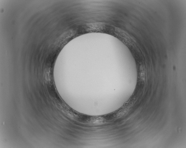 X0000069390514200606021635