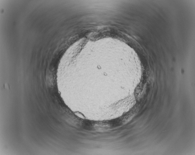 X0000069390515200606021635