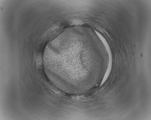 X0000069390517200606021635