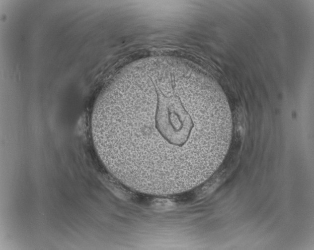 X0000069390519200606021635