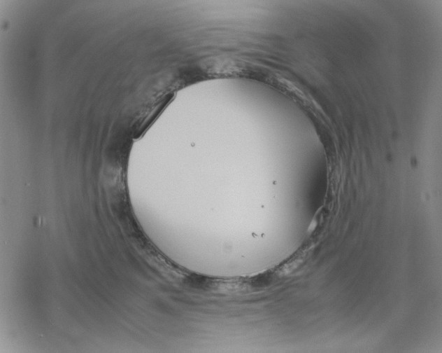 X0000069390521200606021635