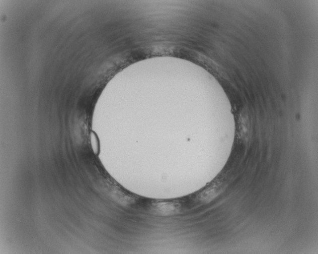 X0000069390522200606021635