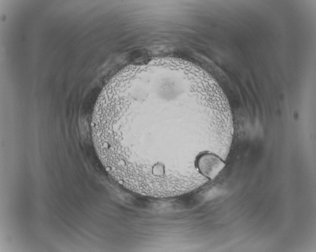 X0000069390523200606021635