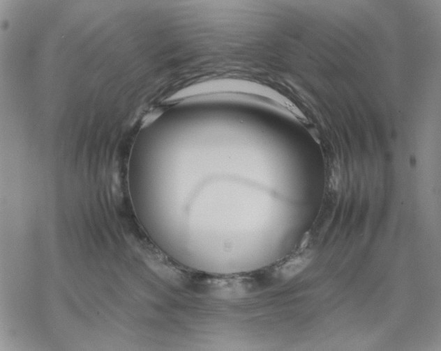 X0000069390524200606021635