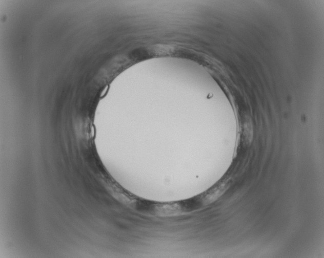 X0000069390525200606021635