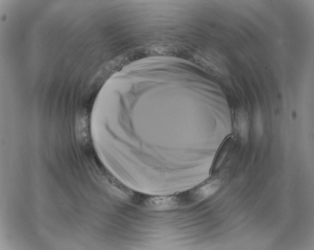 X0000069390526200606021635