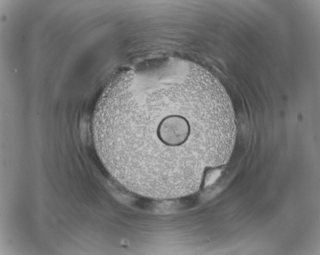 X0000069390527200606021635