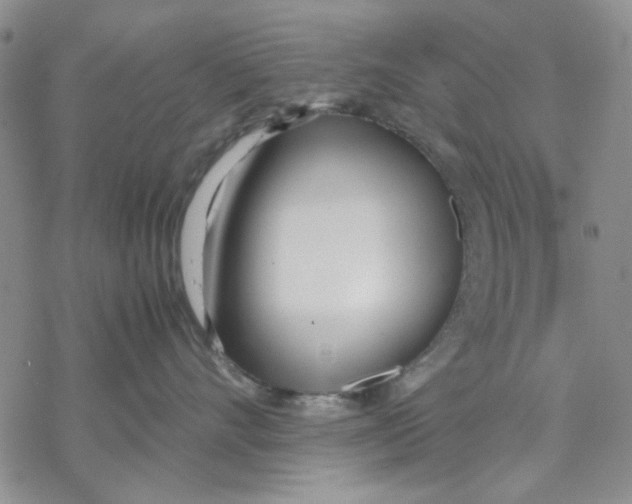 X0000069390528200606021635