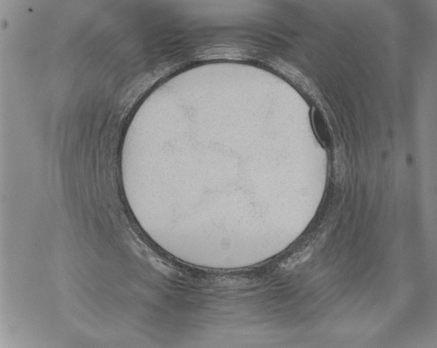 X0000069390529200606021634