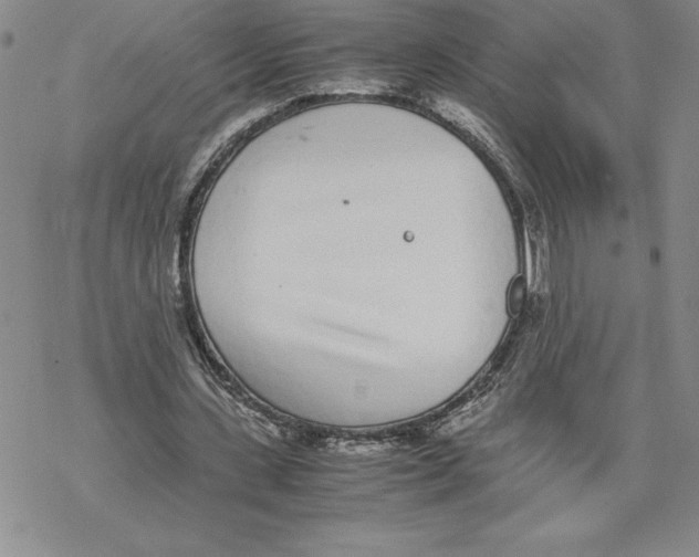 X0000069390531200606021634