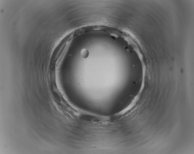 X0000069390532200606021634