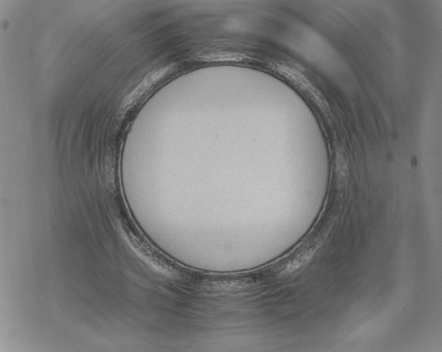 X0000069390533200606021634