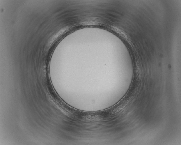 X0000069390535200606021634