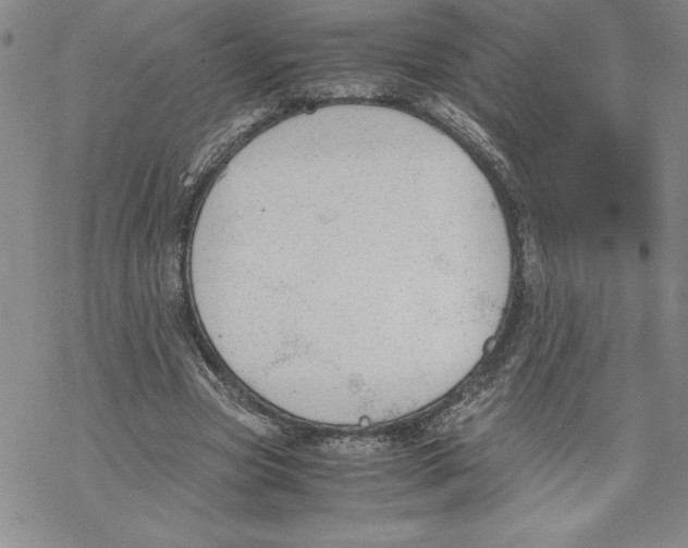 X0000069390537200606021634