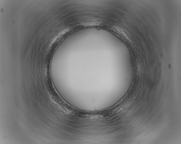 X0000069390539200606021634