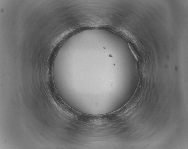 X0000069390540200606021634