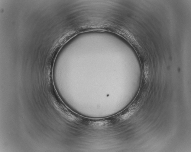 X0000069390542200606021634