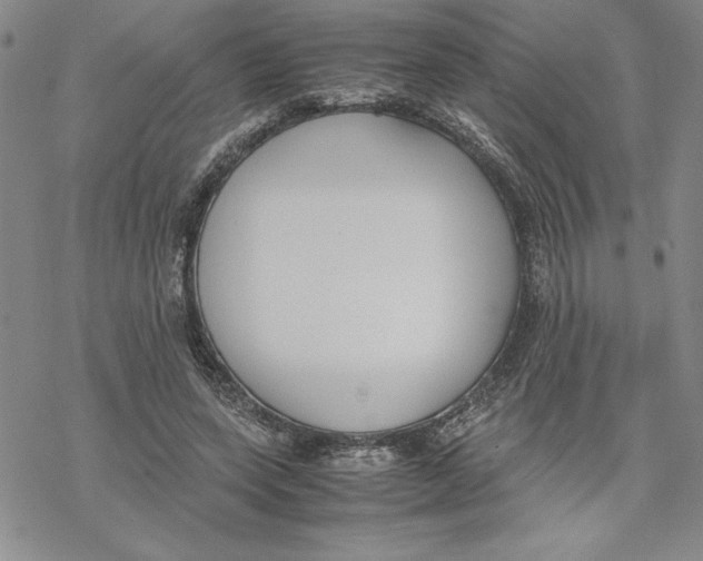 X0000069390543200606021634