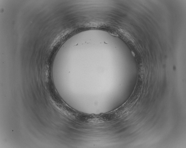 X0000069390544200606021634