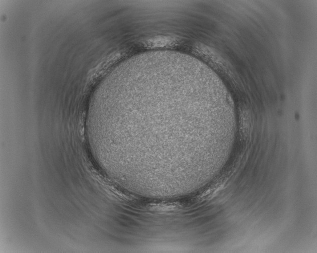 X0000069390545200606021634