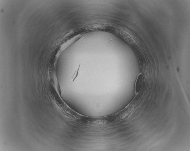 X0000069390546200606021634