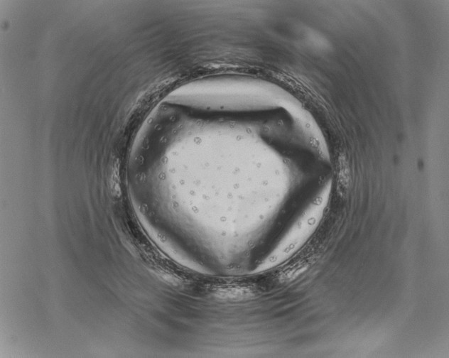 X0000069390547200606021634