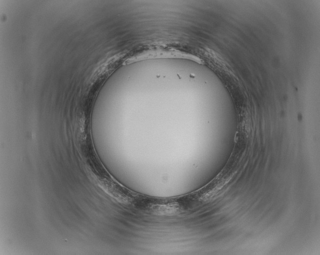 X0000069390548200606021634