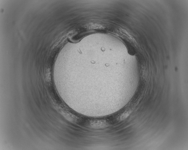 X0000069390549200606021634