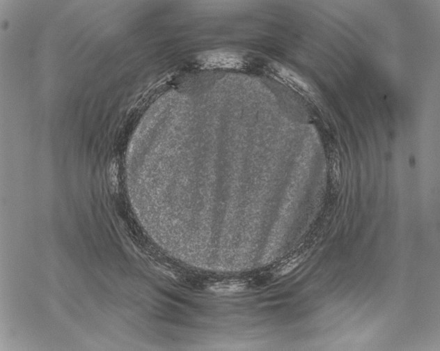 X0000069390551200606021634