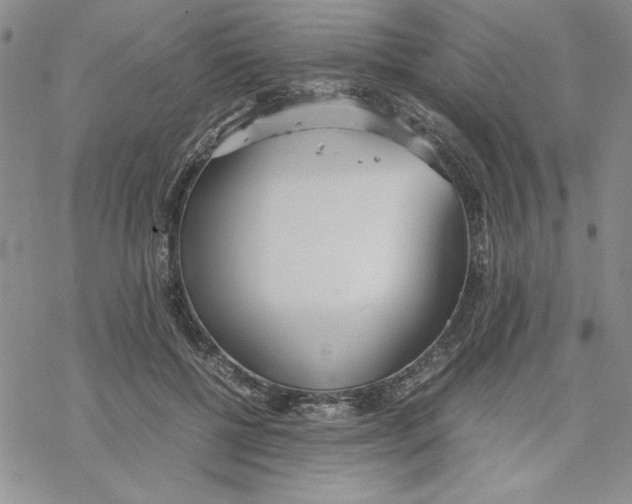 X0000069390552200606021634