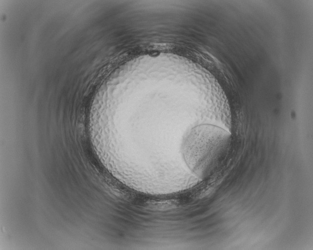 X0000069390553200606021634