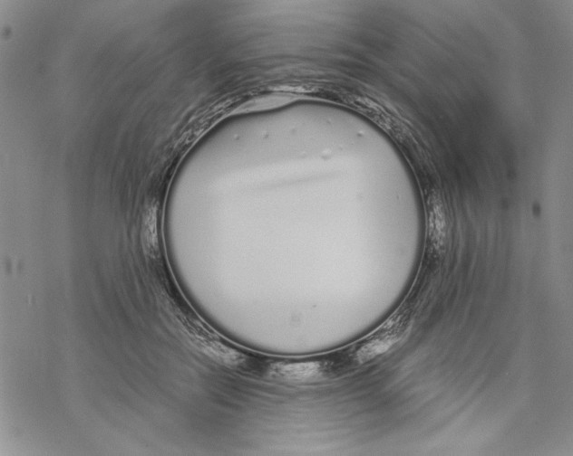 X0000069390554200606021634