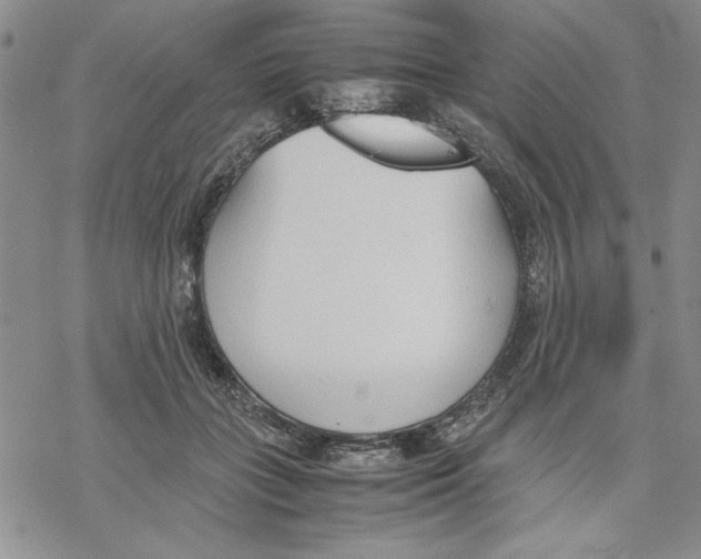 X0000069390555200606021634