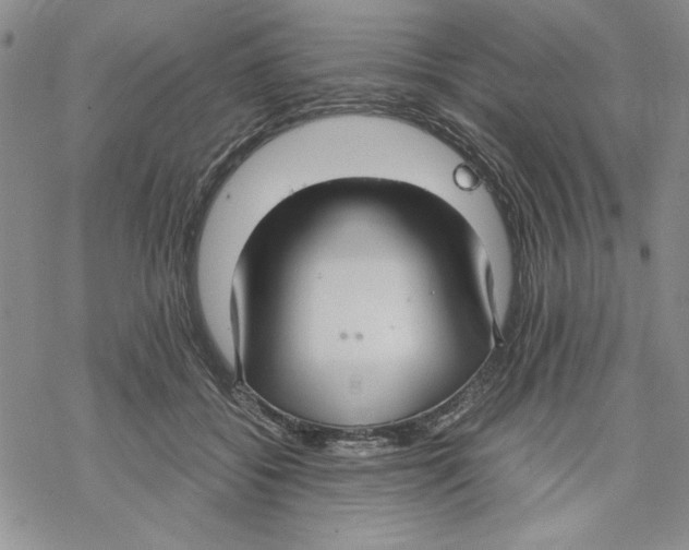 X0000069390556200606021634