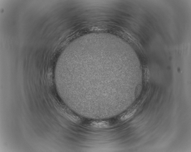 X0000069390557200606021634