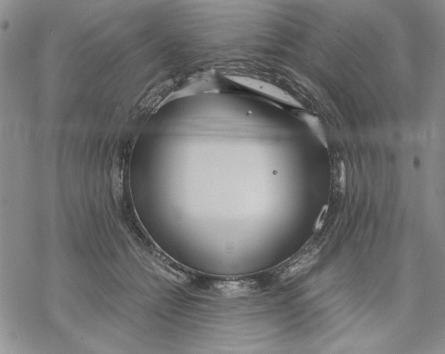 X0000069390558200606021634