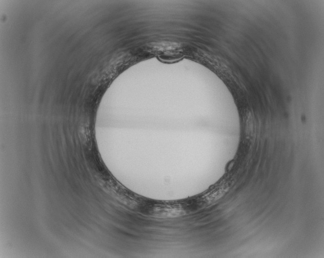 X0000069390559200606021634